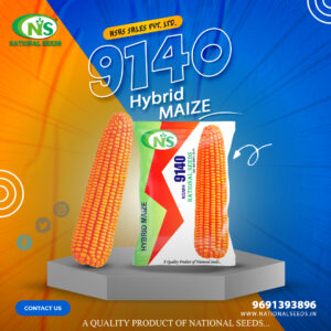 NSMH 9140 HYBRID MAIZE