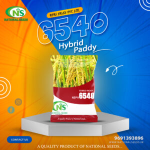 NSPH 6540 HYBRID PADDY