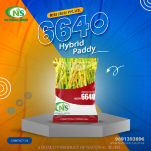 NSPH 6640 HYBRID PADDY