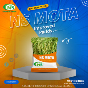NS - MOTA