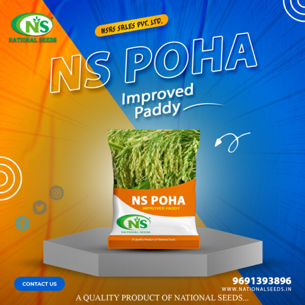 NS -POHA