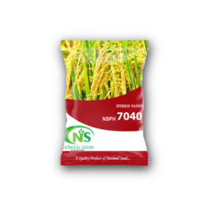 NSPH 7040 इम्प्रूव्ड धान बीज
