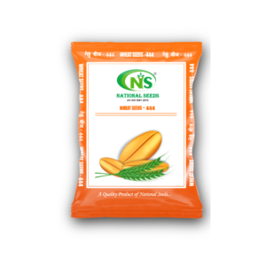 WHEAT SEEDS 444 गेहूं बीज