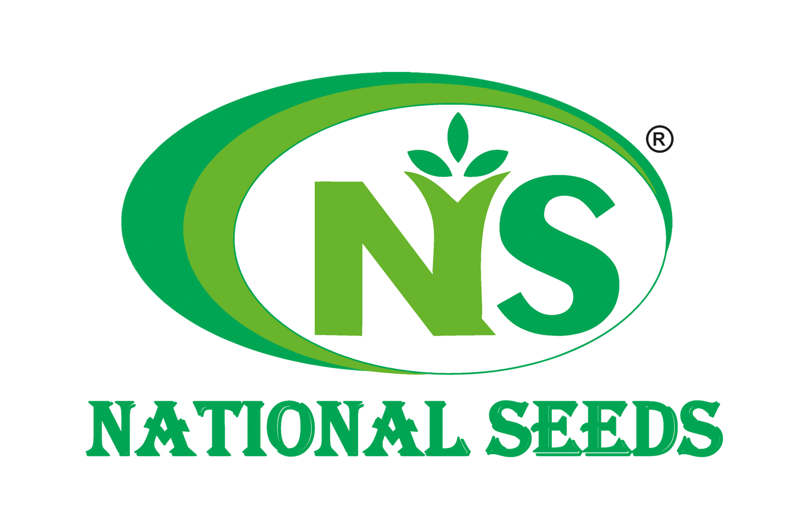 NS LOGO